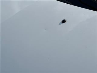 Renault Clio 1.5 DCI Authentique 75 Ps Grandtour